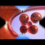 jahan me kitnay rasool urdu vide